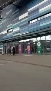 Фотография Золотая рыбка 3